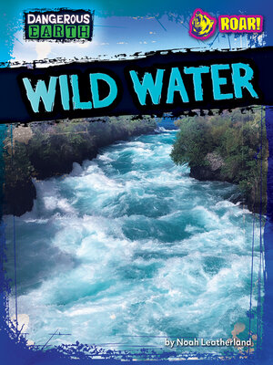 cover image of Wild Water